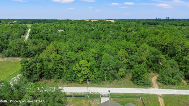 00 Courlan Rd, Brooksville, FL 34614