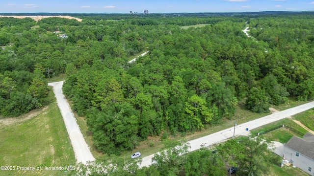 00 Courlan Rd, Brooksville, FL 34614
