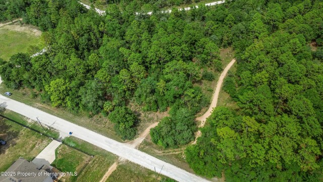00 Courlan Rd, Brooksville, FL 34614