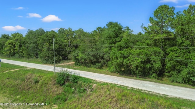 00 Courlan Rd, Brooksville, FL 34614