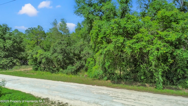 00 Courlan Rd, Brooksville, FL 34614