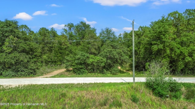 00 Courlan Rd, Brooksville, FL 34614
