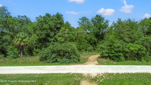 00 Courlan Rd, Brooksville, FL 34614