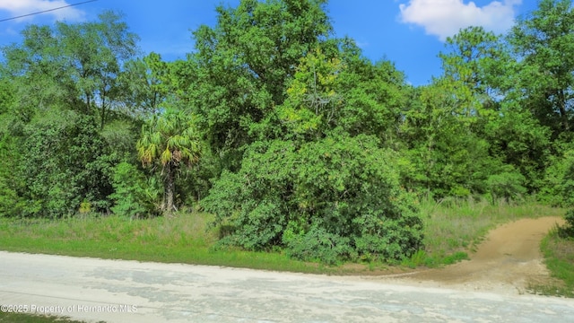 00 Courlan Rd, Brooksville, FL 34614