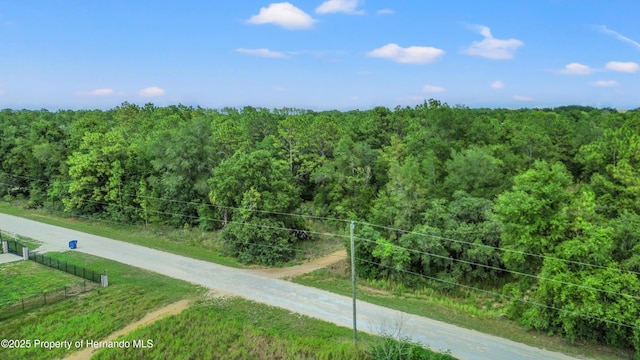 00 Courlan Rd, Brooksville, FL 34614