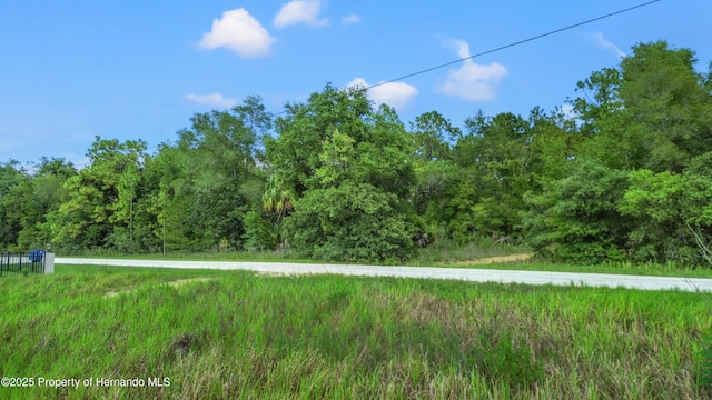 00 Courlan Rd, Brooksville, FL 34614