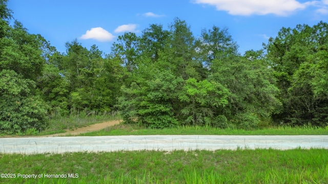 00 Courlan Rd, Brooksville, FL 34614