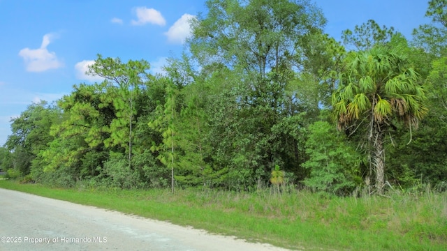 00 Courlan Rd, Brooksville, FL 34614