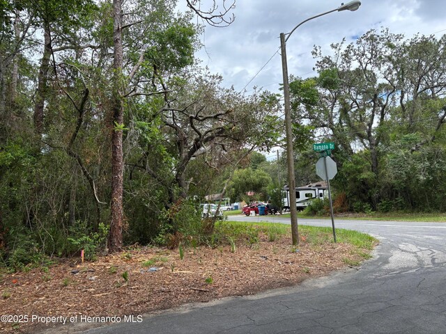 LOTW290 Navajo Trl, Spring Hill, FL 34606 - photo 2