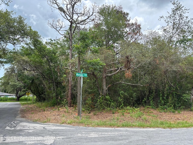 LOTW290 Navajo Trl, Spring Hill, FL 34606 - photo 1