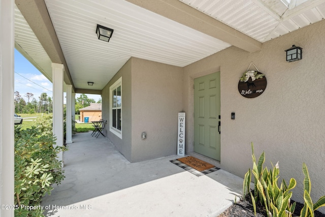 11034 Flock Ave, Spring Hill, FL 34613 - photo 3
