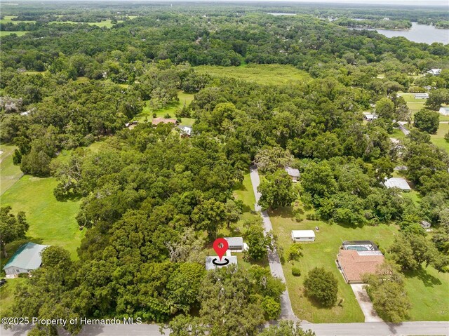 8687 E Jefferson St, Floral City, FL 34436 - photo 41