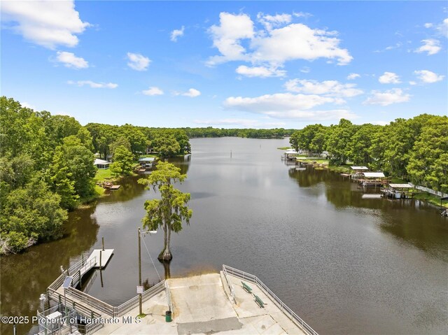 8687 E Jefferson St, Floral City, FL 34436 - photo 52