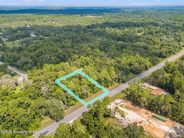 0 Treiman Blvd, Webster, FL 33610