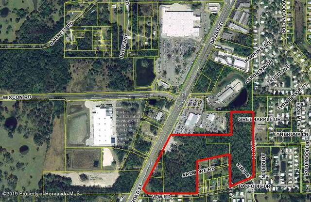 7154 Broad St, Brooksville, FL 34601 - photo 7