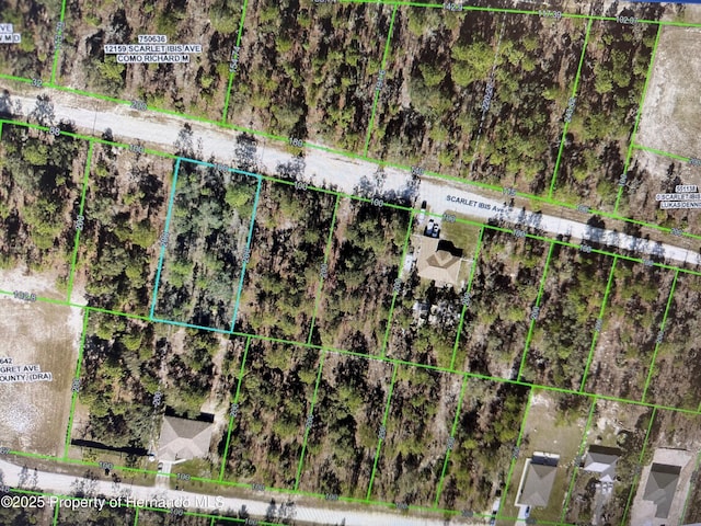 12170 Scarlet Ibis Ave, Weeki Wachee, FL 34614