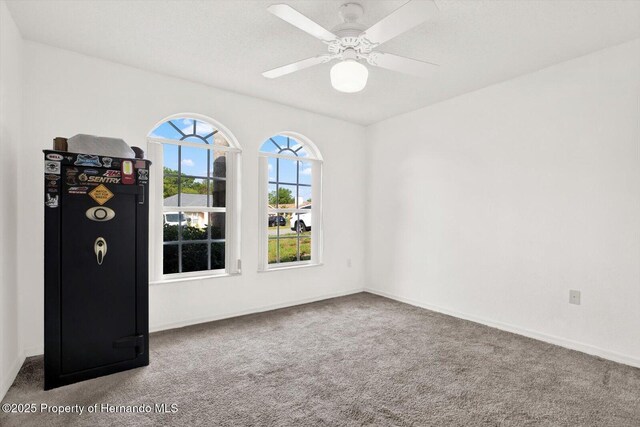 2172 Whitewood Ave, Spring Hill, FL 34609 - photo 12