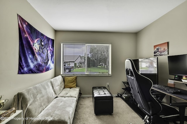 7385 Crestwood Dr, Weeki Wachee, FL 34613 - office space with carpet flooring and baseboards