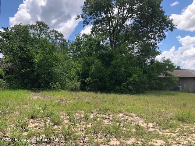0 Lake Forest Ave, Spring Hill, FL 34609 - photo 4