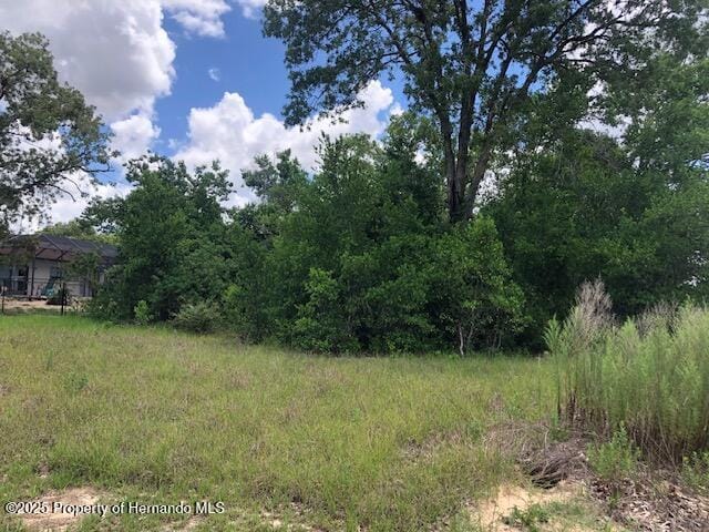 0 Lake Forest Ave, Spring Hill, FL 34609 - photo 5
