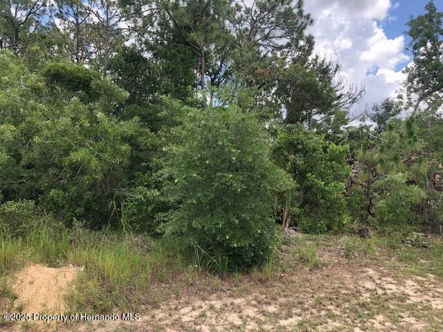 0 Amherst Ave, Spring Hill, FL 34609 - photo 4