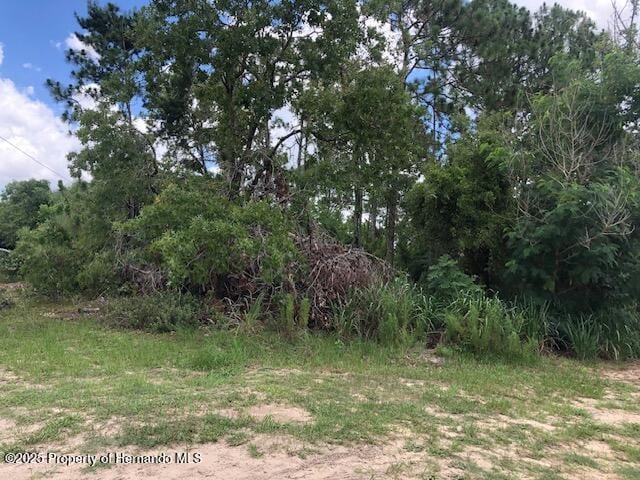 0 Amherst Ave, Spring Hill, FL 34609 - photo 5