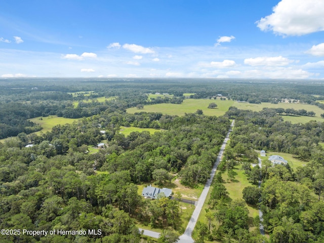2288 Rackley Rd, Brooksville, FL 34604 - photo 58