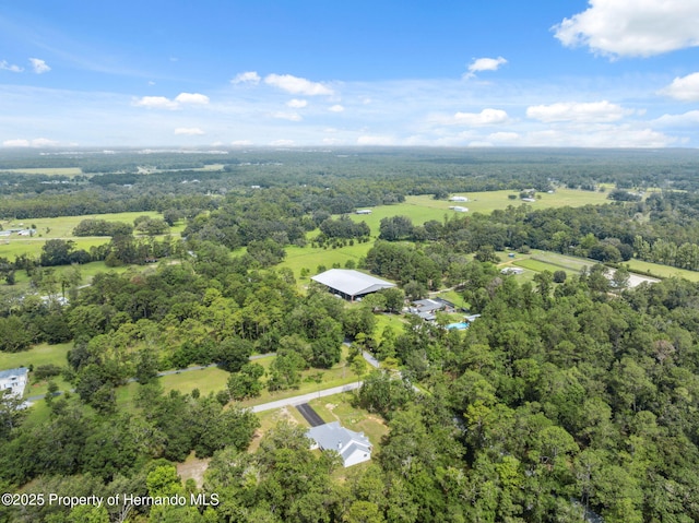 2288 Rackley Rd, Brooksville, FL 34604 - photo 60
