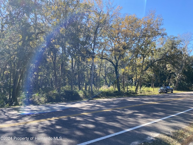 0 Lake Lindsey Rd, Brooksville, FL 34601