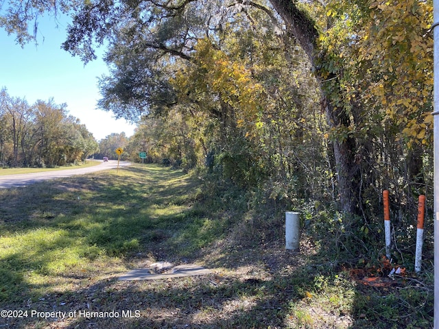 0 Lake Lindsey Rd, Brooksville, FL 34601