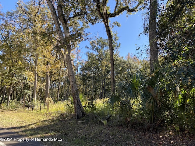 0 Lake Lindsey Rd, Brooksville, FL 34601