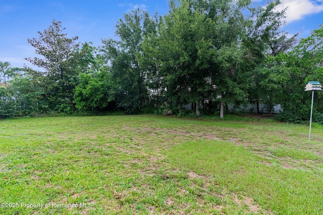 13125 Jessica Dr, Spring Hill, FL 34609 - view of green lawn