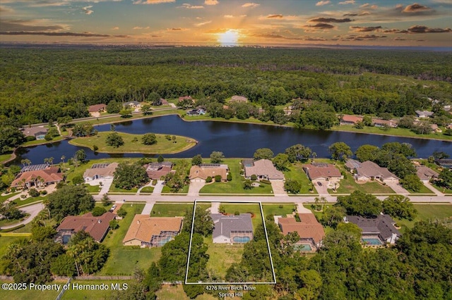 4276 River Birch Dr, Spring Hill, FL 34607 - aerial view of residential area with a heavily wooded area and property parcel outlined