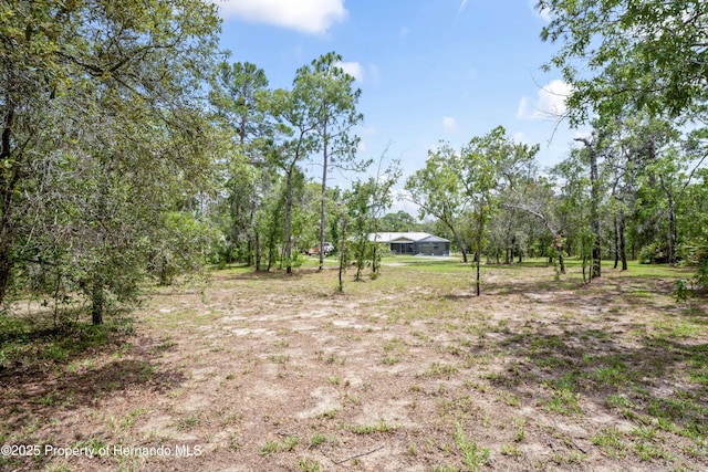 13345 Convent Garden Rd, Brooksville, FL 34613 - view of yard