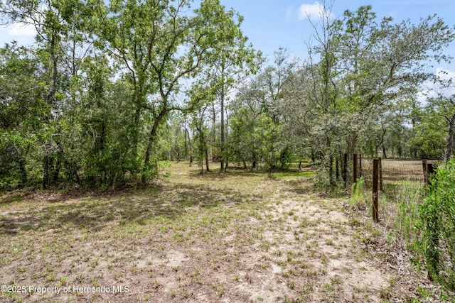 13345 Convent Garden Rd, Brooksville, FL 34613 - view of tree filled area