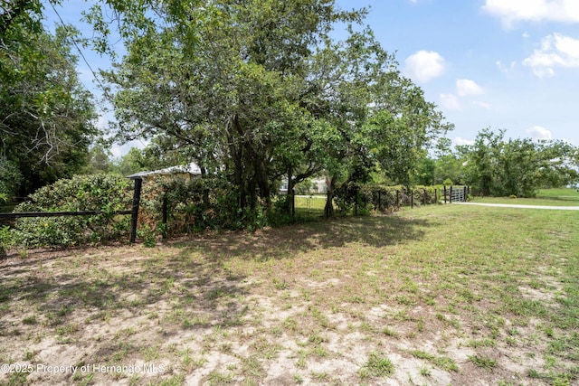13345 Convent Garden Rd, Brooksville, FL 34613 - view of yard