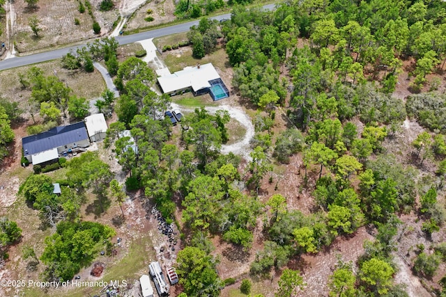 13345 Convent Garden Rd, Brooksville, FL 34613 - aerial view of property's location