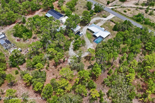 13345 Convent Garden Rd, Brooksville, FL 34613 - aerial view