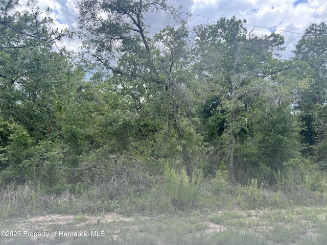000000000 Sheldrake Loop, Weeki Wachee, FL 34614