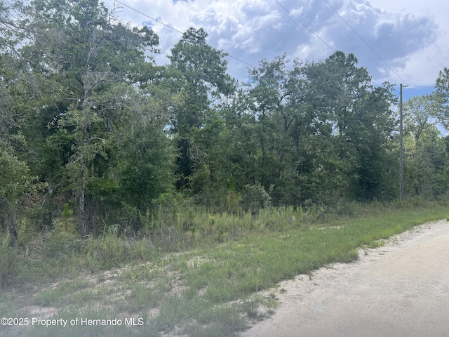 000000000 Sheldrake Loop, Weeki Wachee, FL 34614