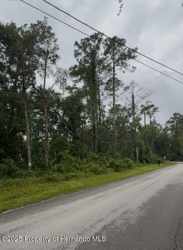 0 Casey Rd, Brooksville, FL 34601 - photo 2