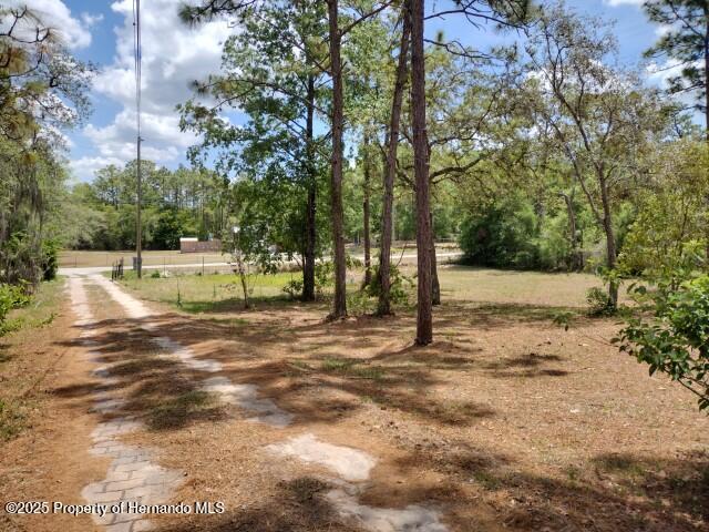 6275 Casson St, Brooksville, FL 34604 - view of dirt / gravel road