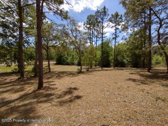 6275 Casson St, Brooksville, FL 34604 - view of nature
