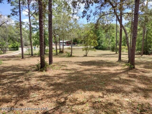 6275 Casson St, Brooksville, FL 34604 - view of yard