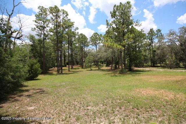 6275 Casson St, Brooksville, FL 34604 - view of grassy yard