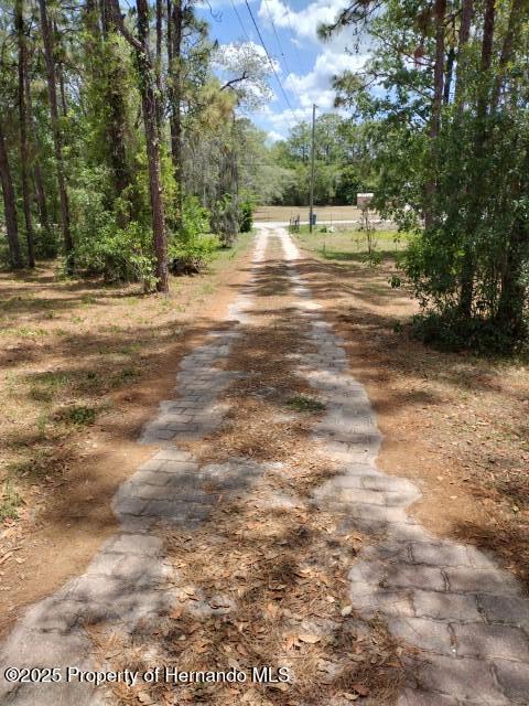 6275 Casson St, Brooksville, FL 34604 - view of street