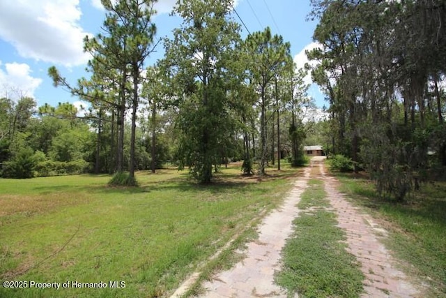 6275 Casson St, Brooksville, FL 34604 - view of dirt / gravel driveway