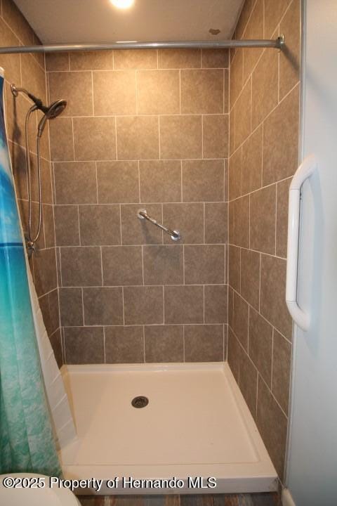 6275 Casson St, Brooksville, FL 34604 - full bath featuring a tile shower