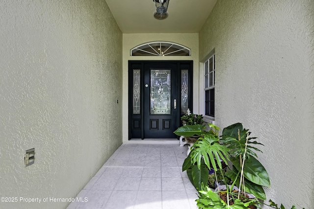 10093 Holly Berry Dr, Weeki Wachee, FL 34613 - photo 3
