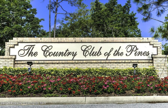 6412 Pine Meadows Dr, Spring Hill, FL 34606 - photo 46